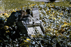 Elli-Kaleva-3