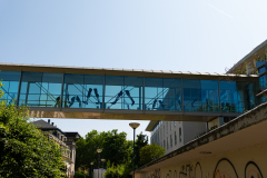 Foto: Harald Schulz