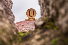 SiegfriedWeich_00001