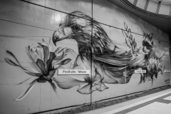 SteffiCorvinus_00003