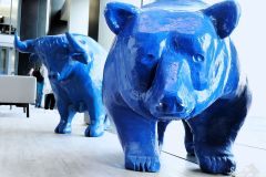 Foto: Andrea Schenke