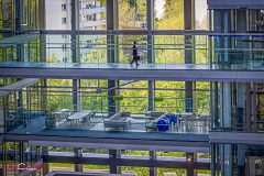 Foto: Ralf Otterbein