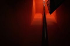 Andrea-Lenz-9