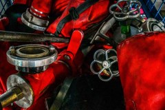 Reda-Marija-Richter-1