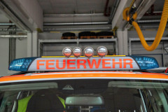 Steffi-Corvinus-5