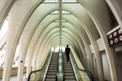 Karin-Steffens-1